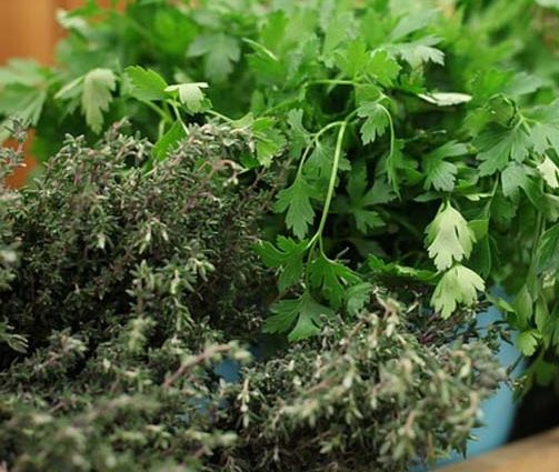 fines herbes