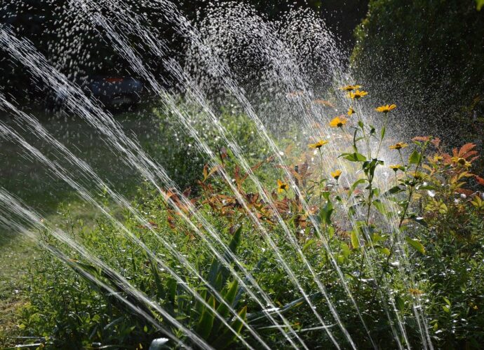 arrosage jardin