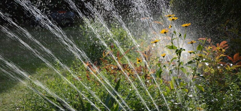 arrosage jardin